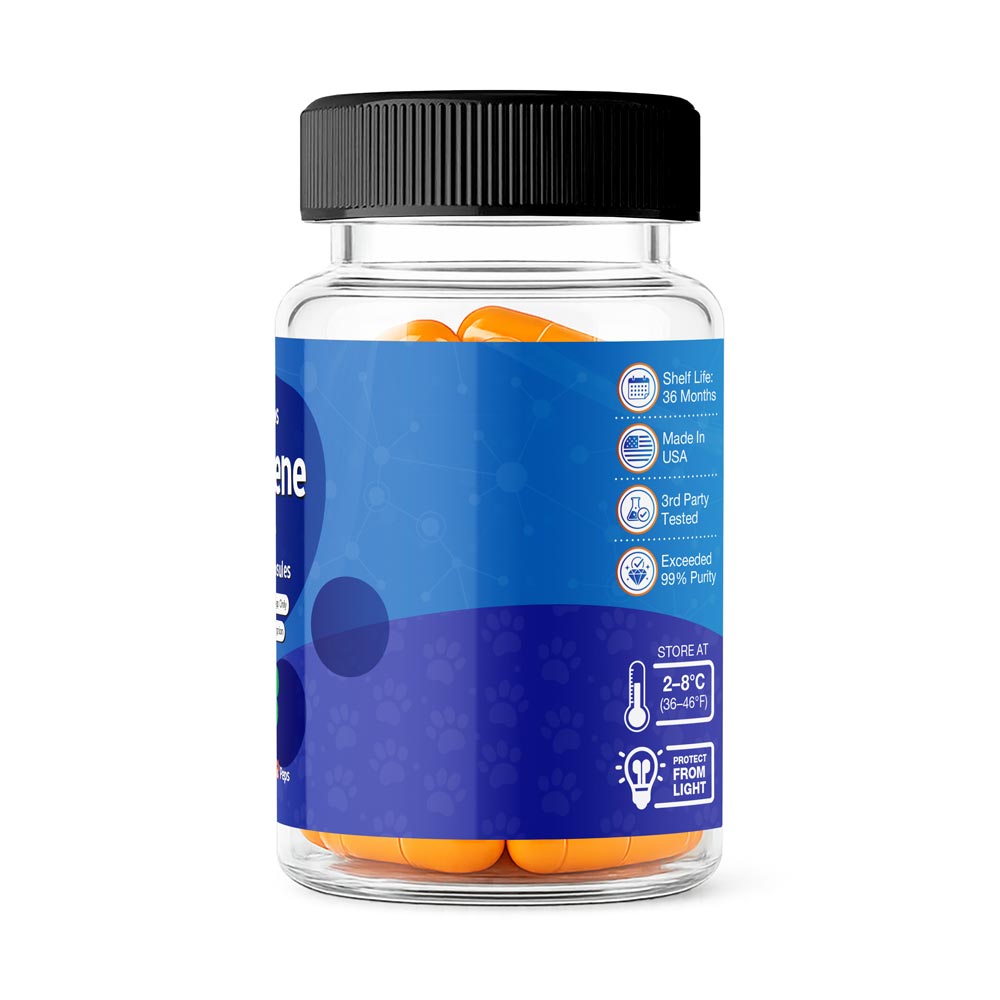 Methylene Blue Capsules