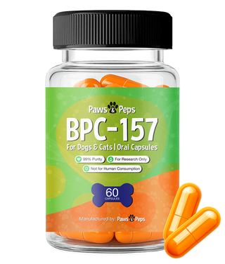 BPC-157 Capsules