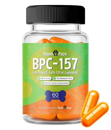 BPC-157 Capsules