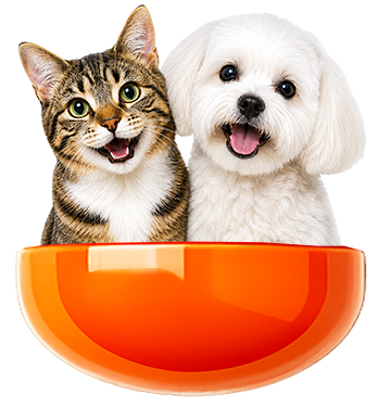 Capsule with dog and cat