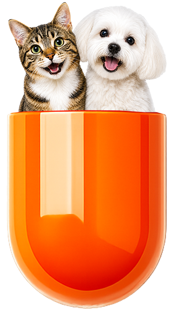 Bottom half of capsule with dog and cat