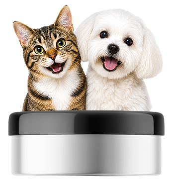 Capsule with dog and cat